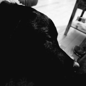 Meet your Posher, Tracey